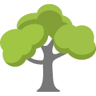 Novato Tree Removal