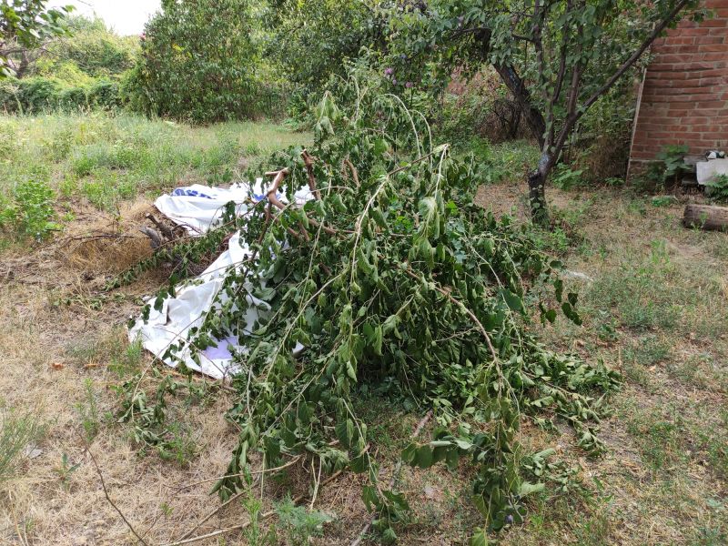 Clearing Debris After Removal
