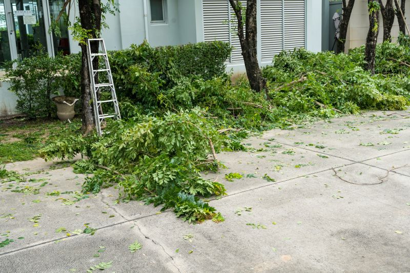 Property Before and After