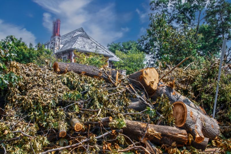 Tree Removals