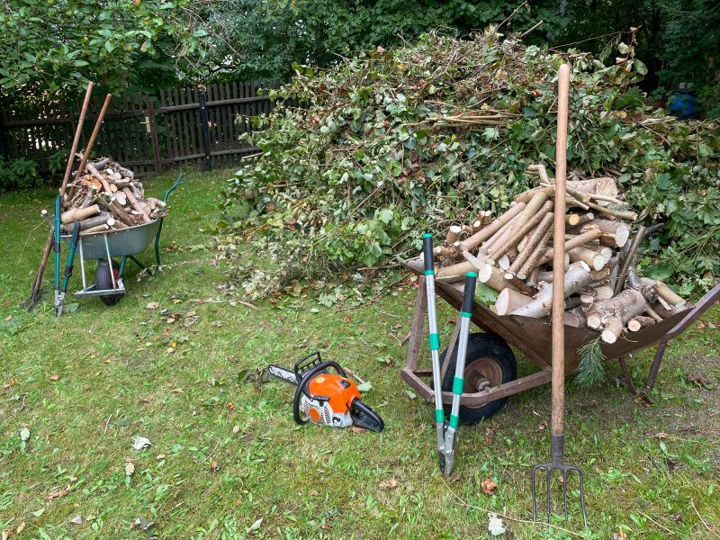 Tree Removals